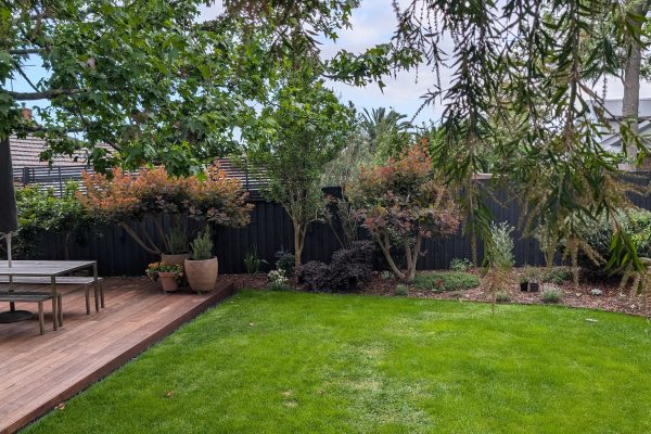 PXL_20241027_204724569